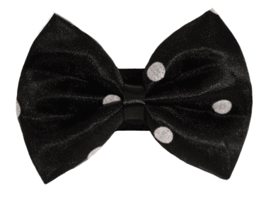 PR1001|Pets Ribbons (Color: 3, size: 2")