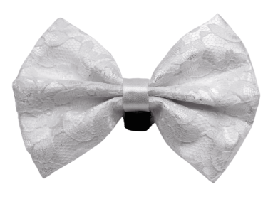 PR3002|Pets Ribbons (Color: 1, size: 2")