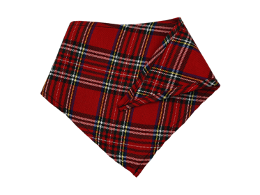 GG142FB|Pets Ribbons (size: small)