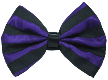 PR3006HS|Pets Ribbons (Color: Purple, size: 2")