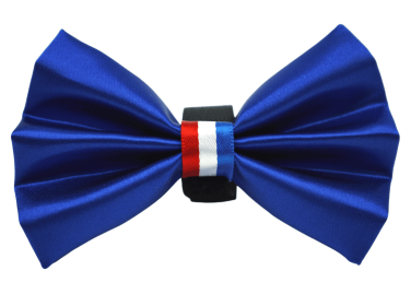 PR3009|Pets Ribbons (Color: Blue, size: 2")
