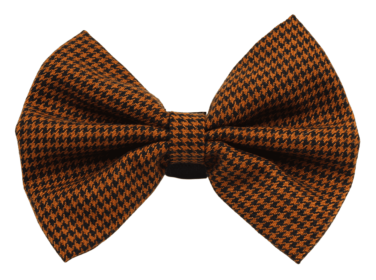 PR4012|Pets Ribbons (Color: Brown, size: 2")